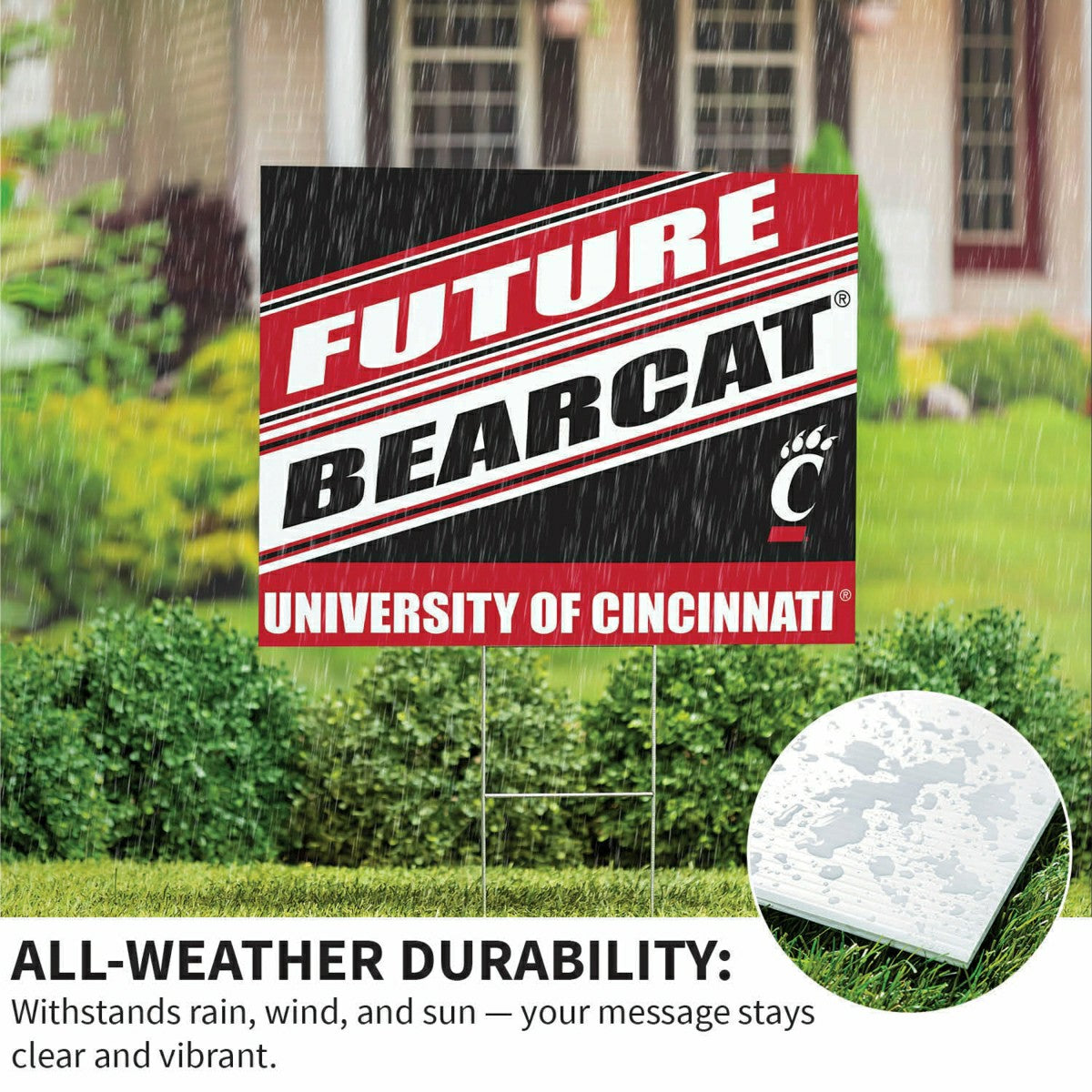 Team Sports America Best Seller - University of Cincinnati Coroplast Yard Sign, Future Student