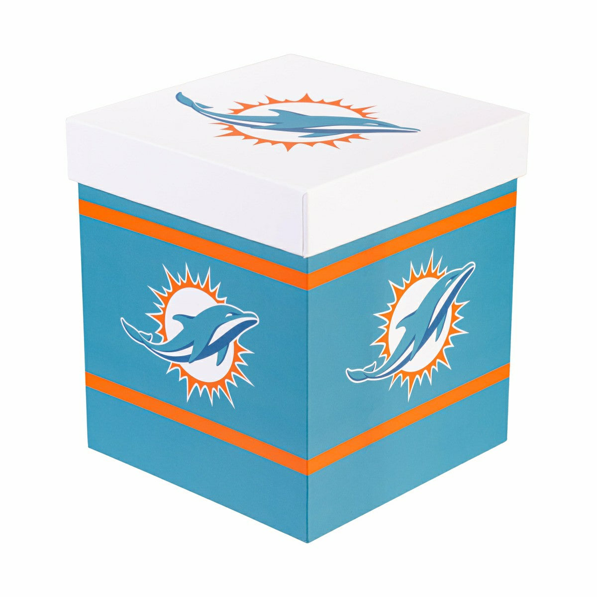 Team Sports America Value - Miami Dolphins Ceramic Stein Cup, 24oz