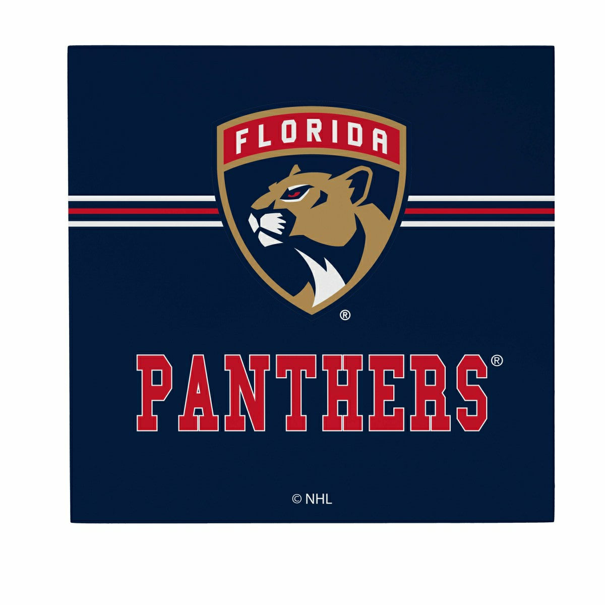 Team Sports America Recommended - Florida Panthers Wood Wall Sign, 12x12