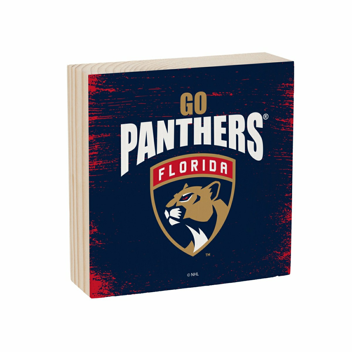 Team Sports America Essential - Florida Panthers Plock, Down Home Fans, 6x6