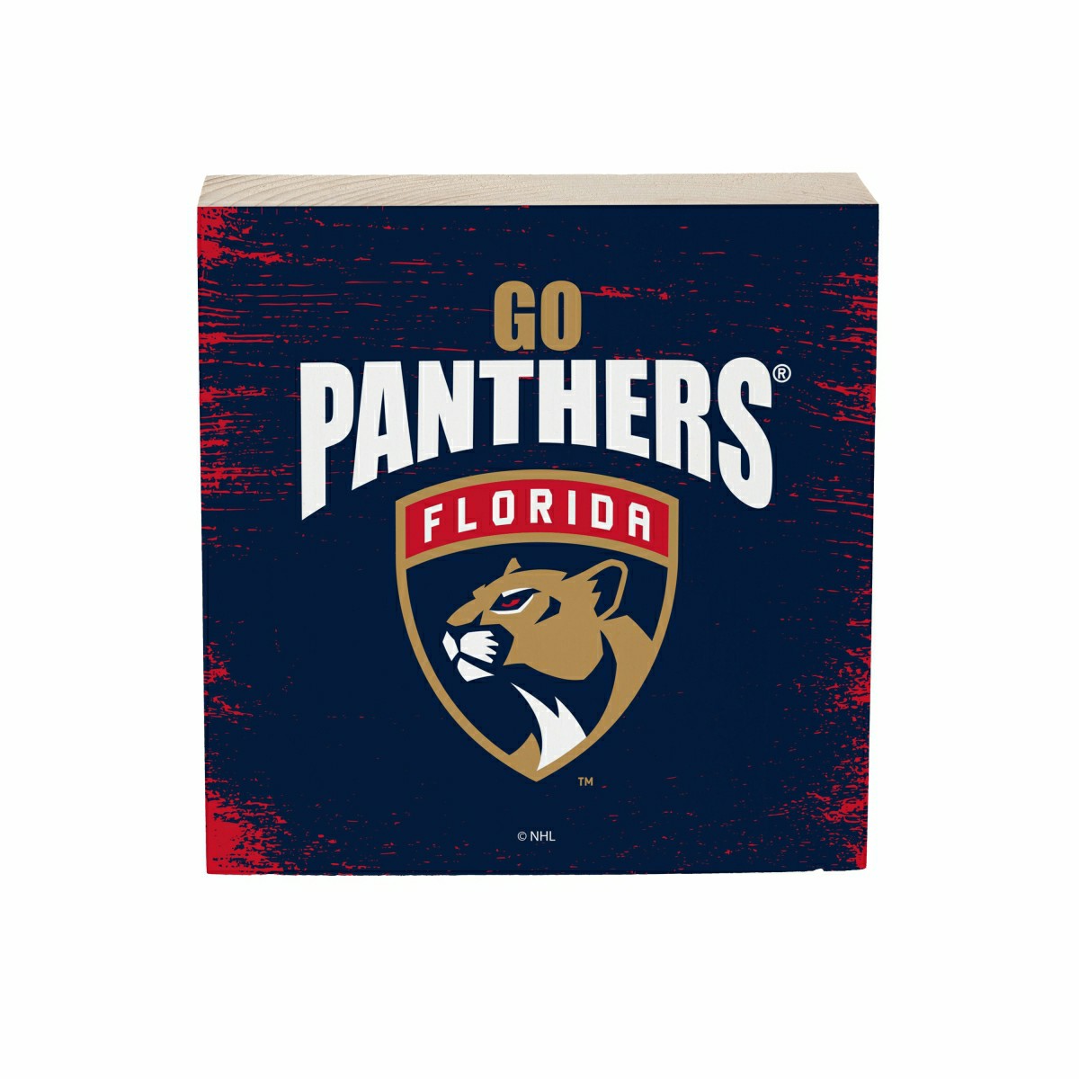 Team Sports America Essential - Florida Panthers Plock, Down Home Fans, 6x6