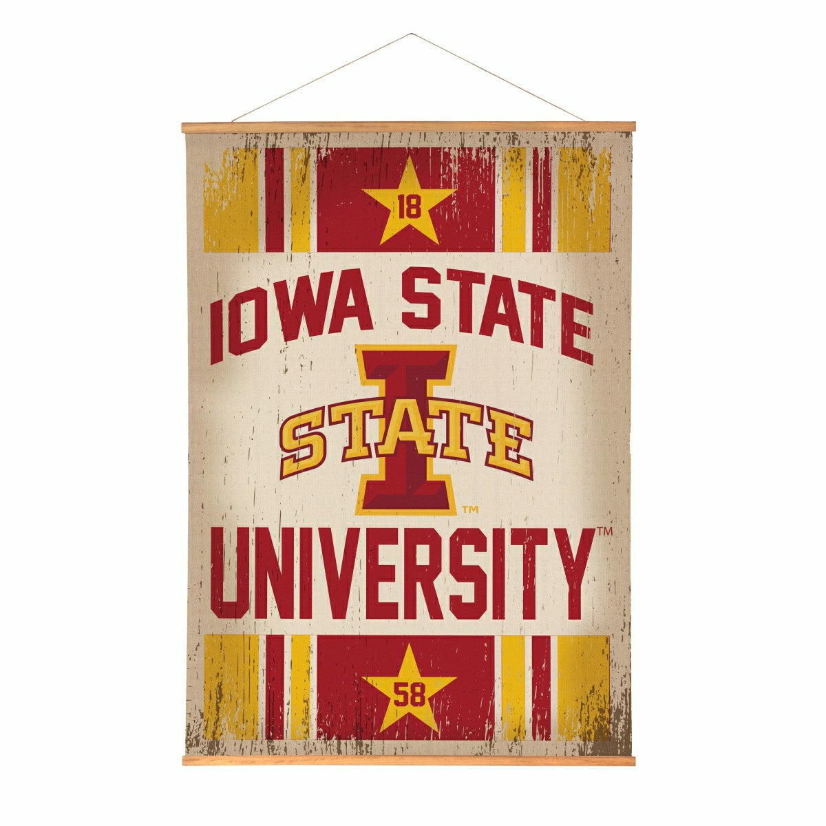 Team Sports America Everyday - Iowa State University, Canvas Wall Tapestry, Large, 54x36