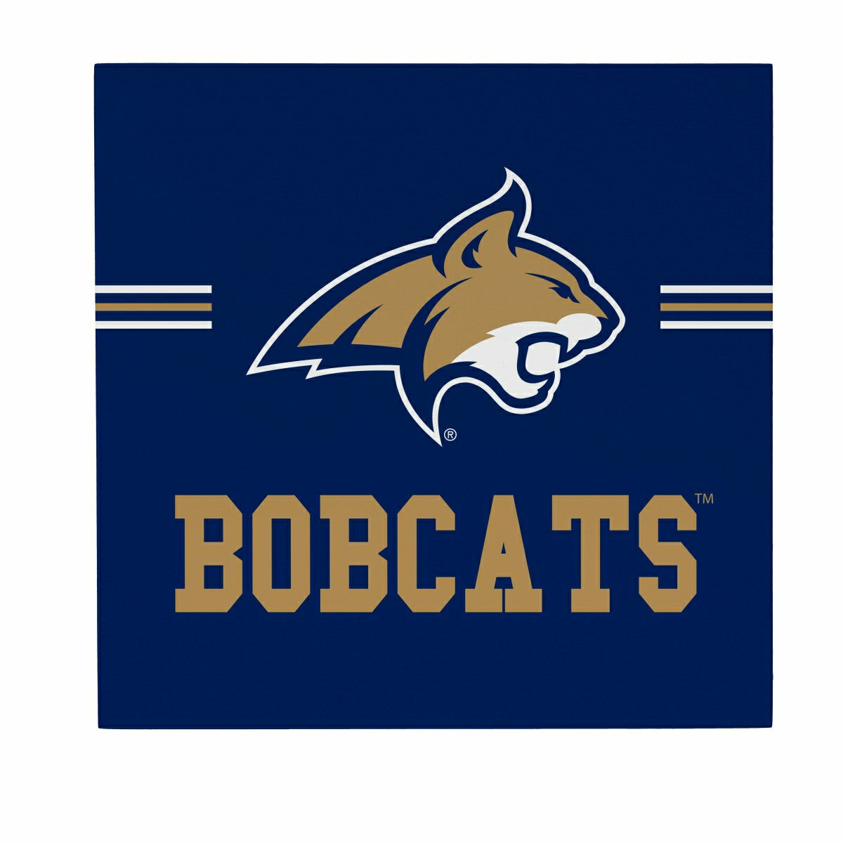Team Sports America Exclusive - Montana State University Wood Wall Sign, 12x12
