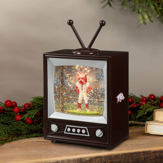 Team Sports America Classic - University of Arkansas Vintage TV Water Lantern