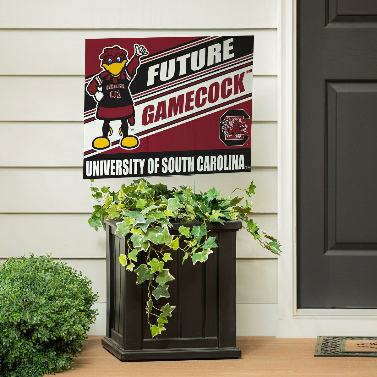 Team Sports America Signature - University of South Carolina Coroplast Yard Sign, Future Student