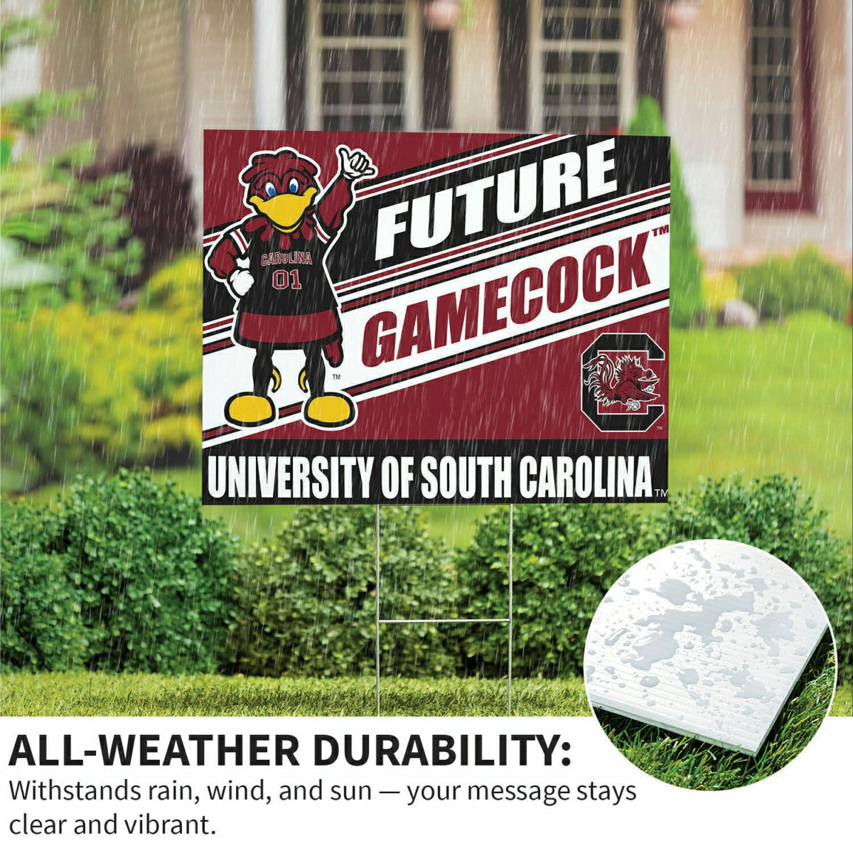 Team Sports America Signature - University of South Carolina Coroplast Yard Sign, Future Student