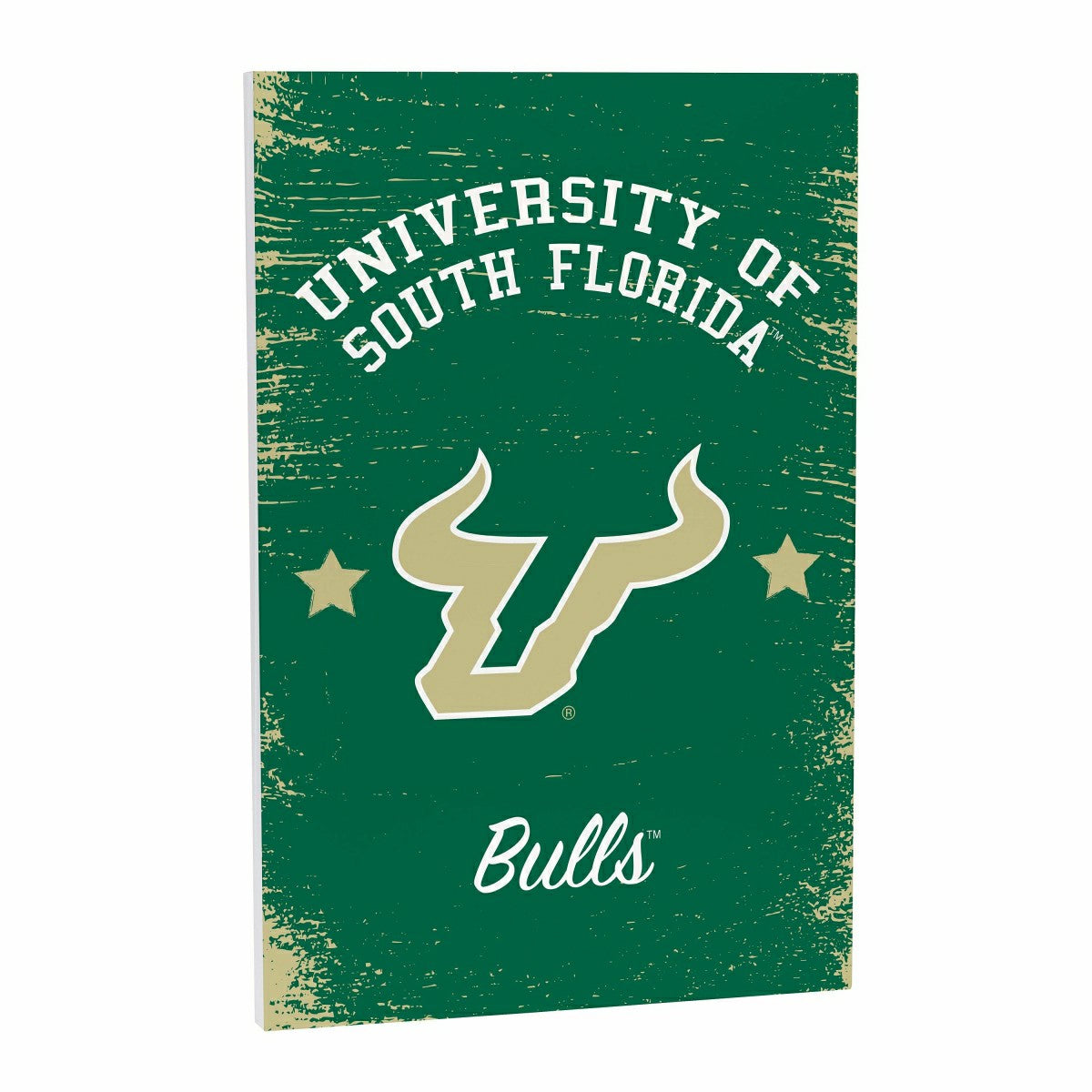 Team Sports America Classic - University of South Florida Wood Wall Sign, 16x24