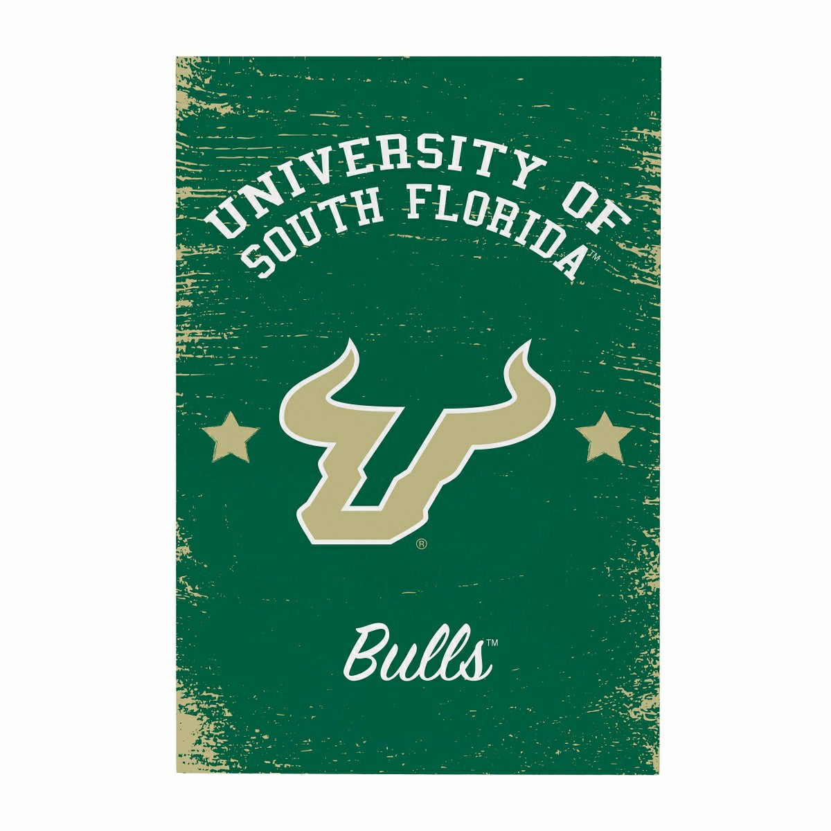 Team Sports America Classic - University of South Florida Wood Wall Sign, 16x24
