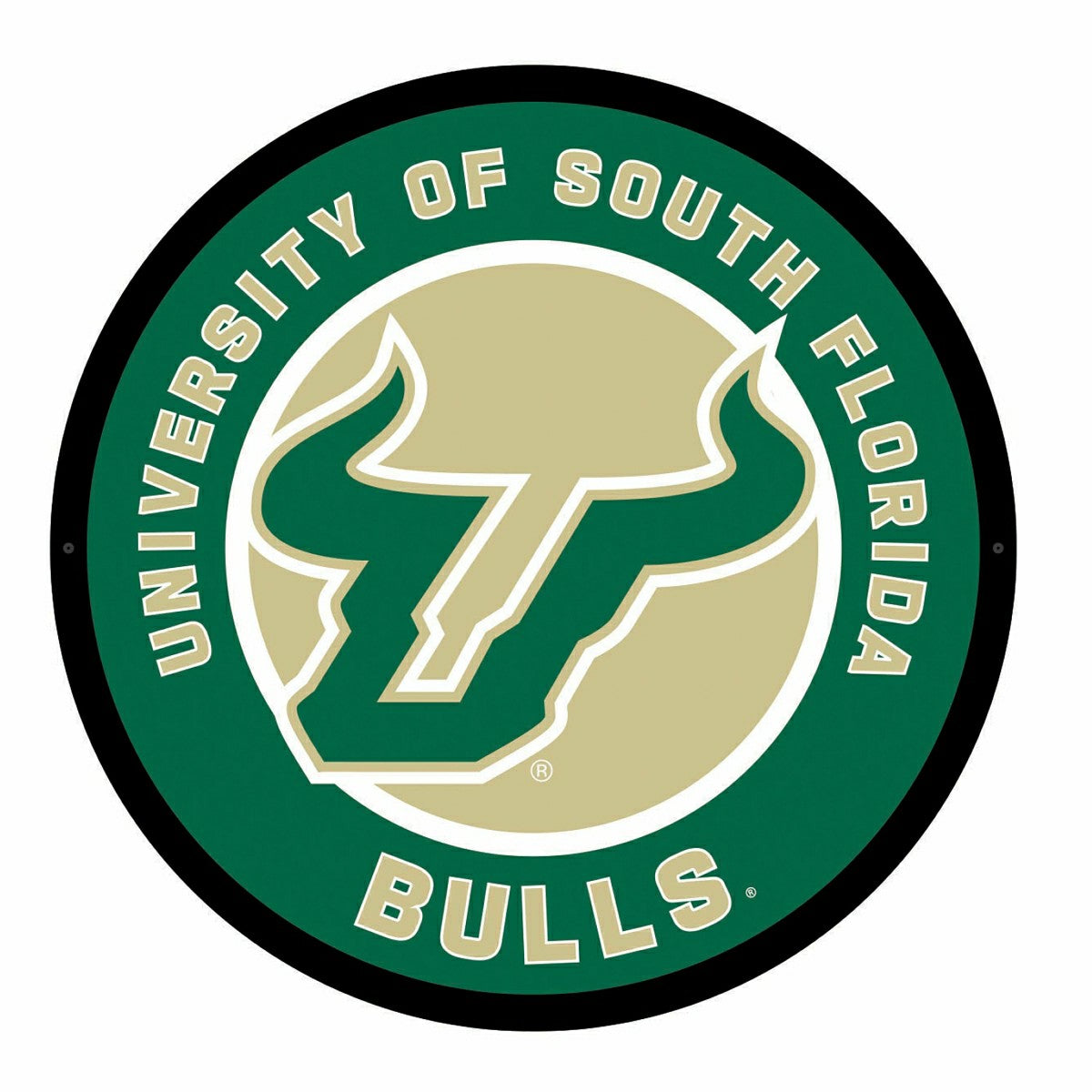 Team Sports America Value - LED Wall Decor, Round, University of South Florida