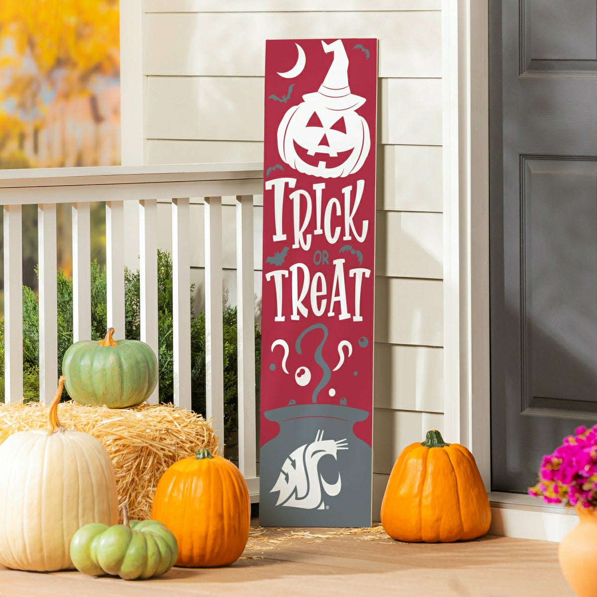 Team Sports America Everyday - 47" Double Sided Leaner, Washington State University, Halloween