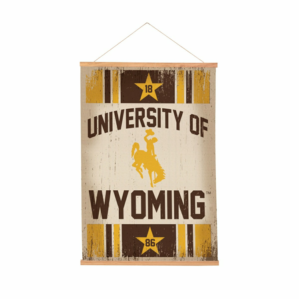 Team Sports America Classic - University of Wyoming, Canvas Wall Tapestry, Medium, 36x24