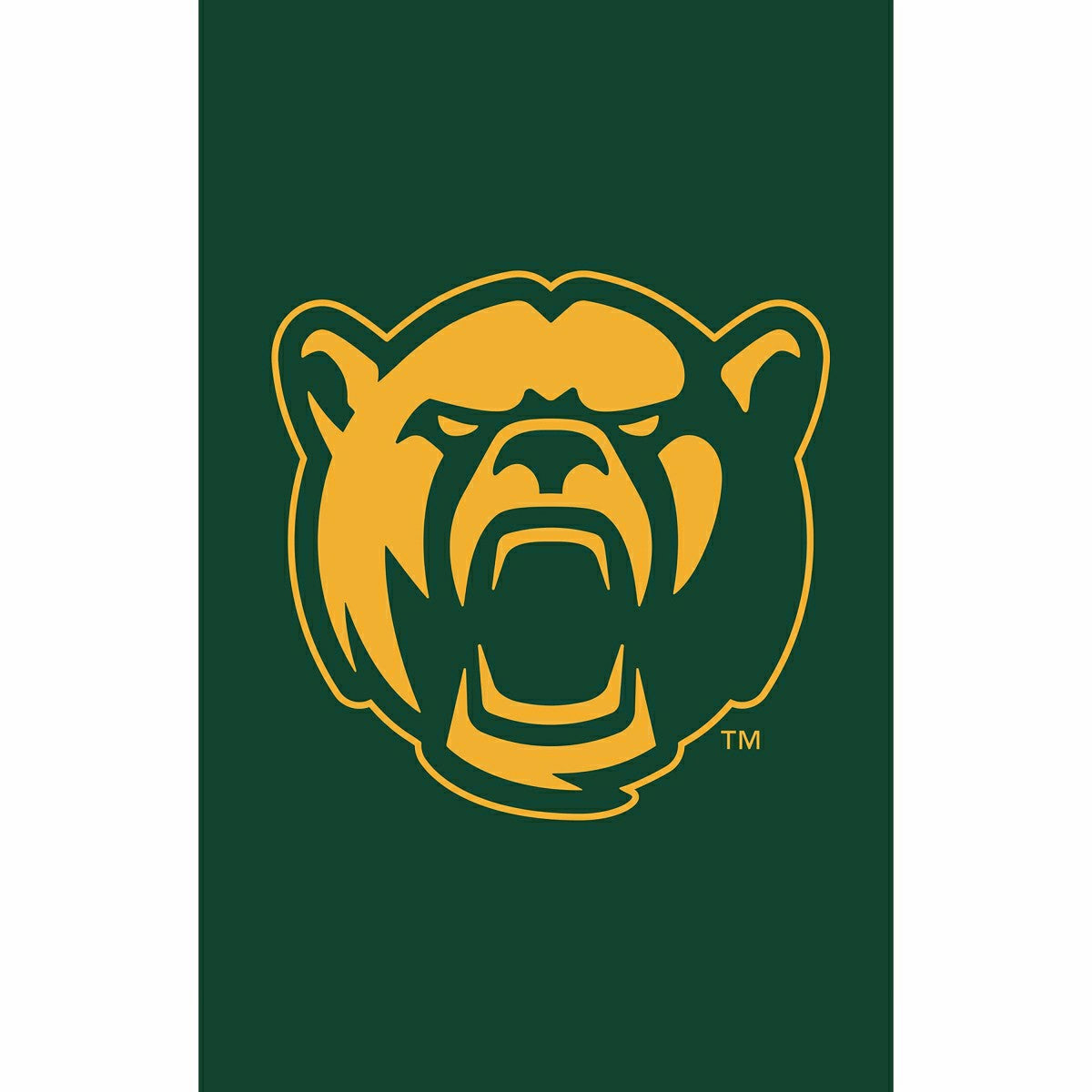 Team Sports America Essential - Baylor University Applique House Flag