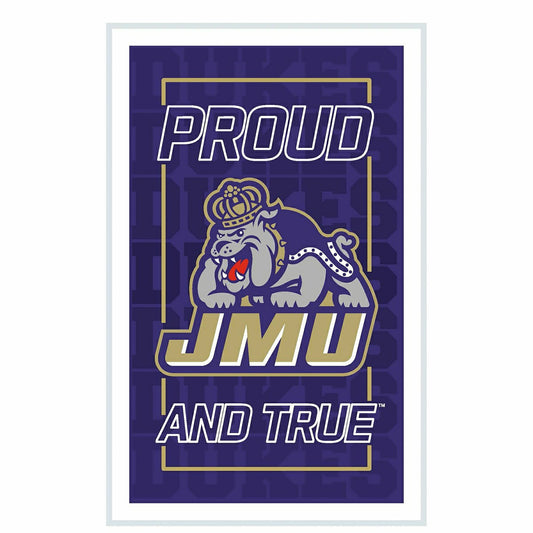 Team Sports America Value - James Madison University College Rectangle Neolite LED Decor