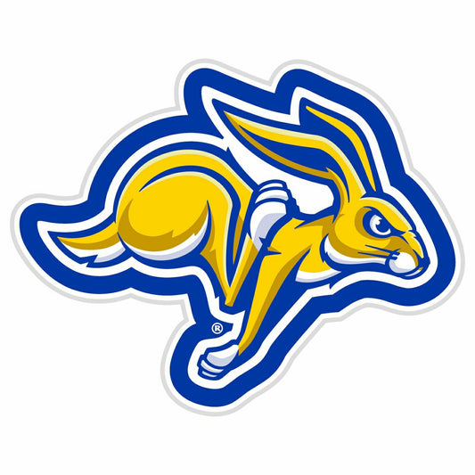 Team Sports America Classic - LED Wall Decor, Glazelite, College Mascot, South Dakota State Universi