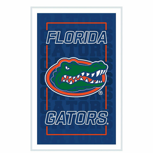 Team Sports America Classic - University of Florida College Rectangle Neolite LED Decor
