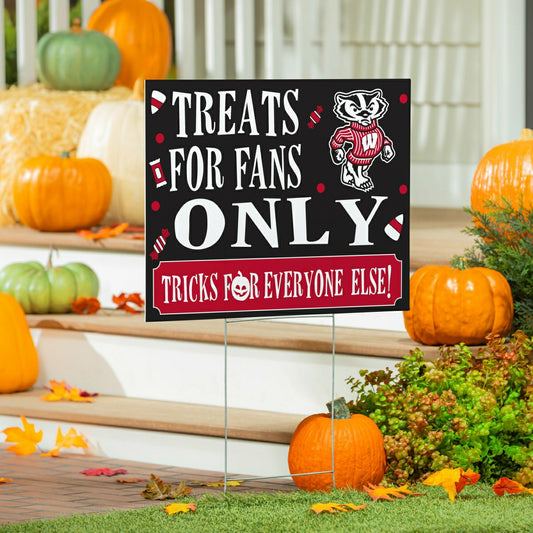 Team Sports America Value - University of Wisconsin-Madison Yard Sign, Halloween Treats for Fans
