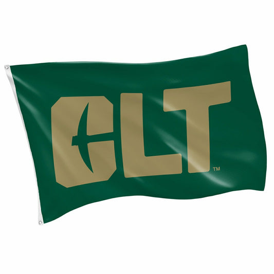 Team Sports America Everyday - University of North Carolina, Charlotte Single Sided Flag w/ 2 Grommet