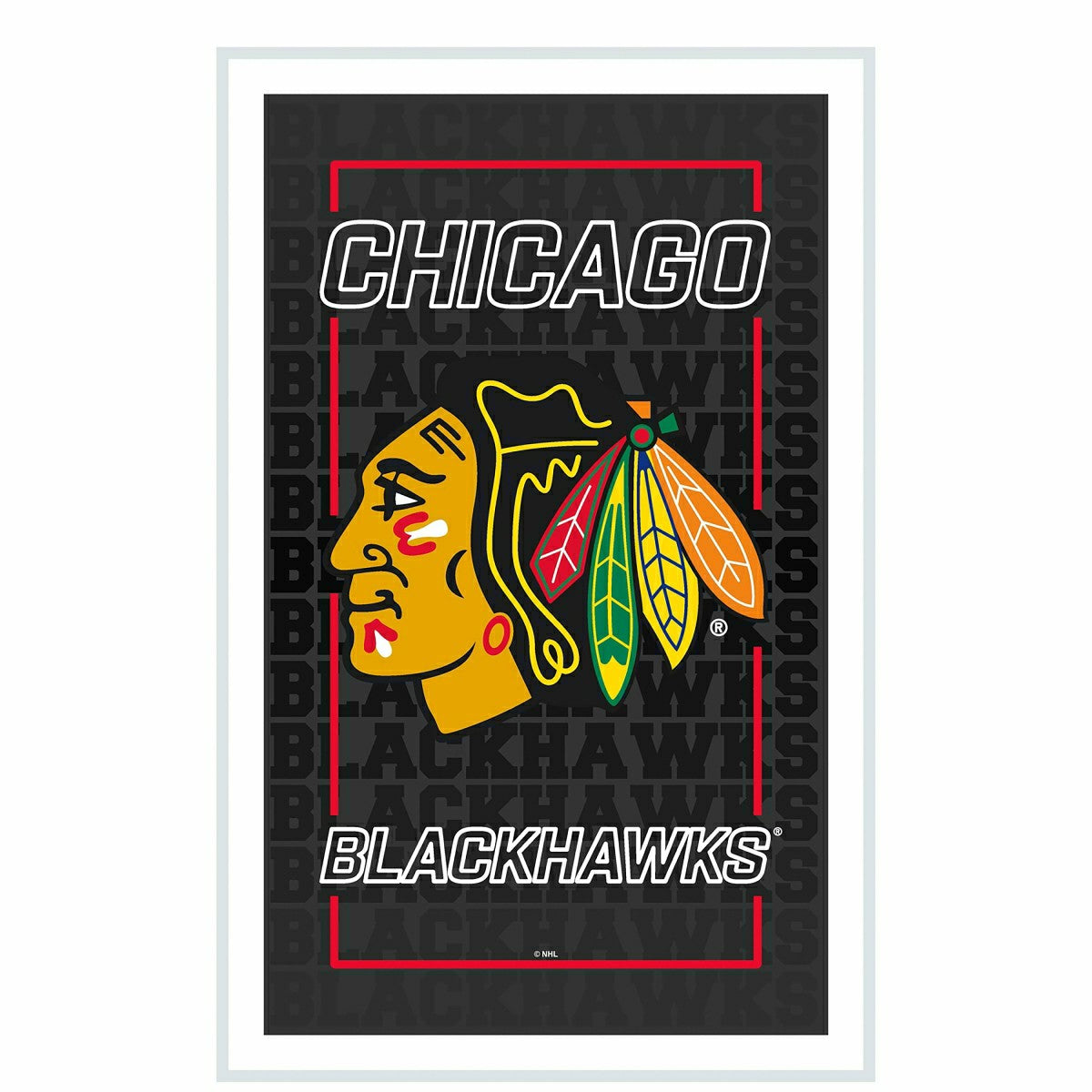Team Sports America Exclusive - Chicago Blackhawks Hockey Rectangle Neolite LED Decor