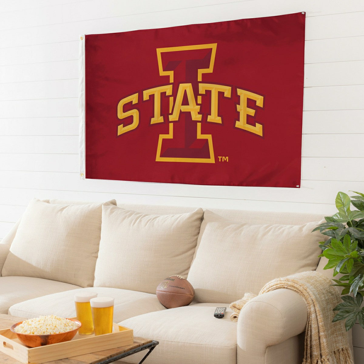 Team Sports America Value - Iowa State University Single Sided Estate Flag with 2 Grommets, 3'x5'