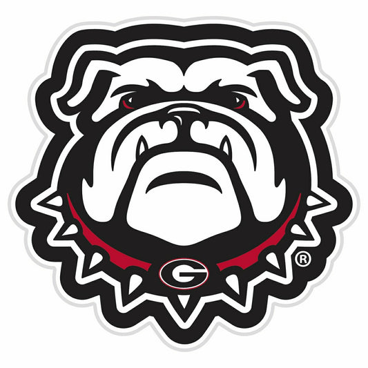 Team Sports America Signature - LED Wall Decor, Glazelite, College Mascot, University of Georgia