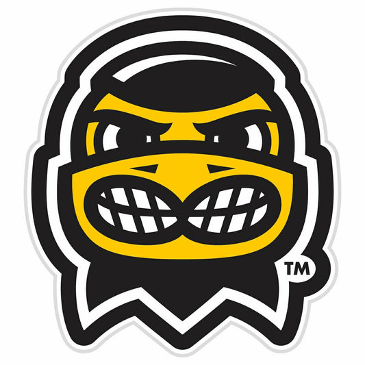 Team Sports America Essential - LED Wall Decor, Glazelite, College Mascot, University of Iowa