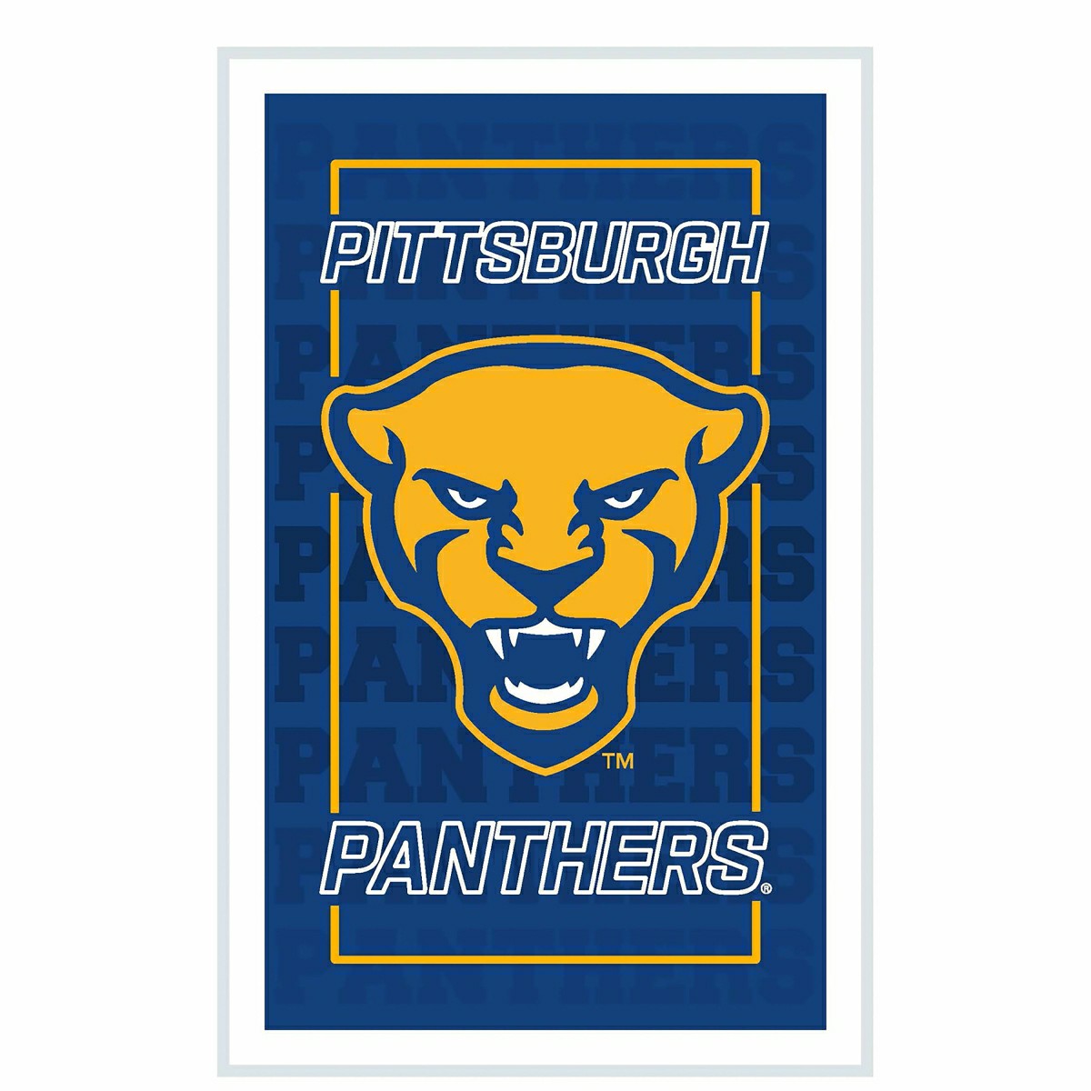 Team Sports America Classic - University of Pittsburgh College Rectangle Neolite LED Decor