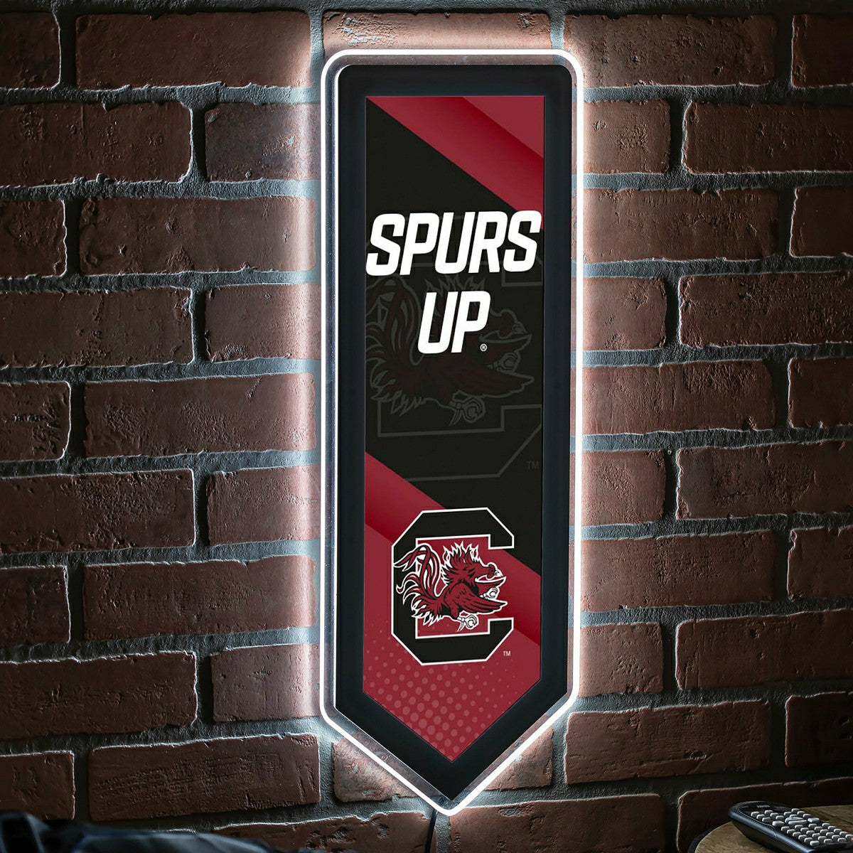 Team Sports America Signature - LED Wall Decor, Pennant, University of South Carolina