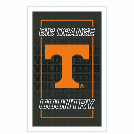 Team Sports America Value - University of Tennessee College Rectangle Neolite LED Decor