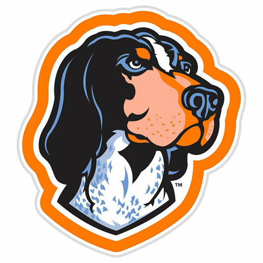 Team Sports America Trending - LED Wall Decor, Glazelite, College Mascot, University of Tennessee