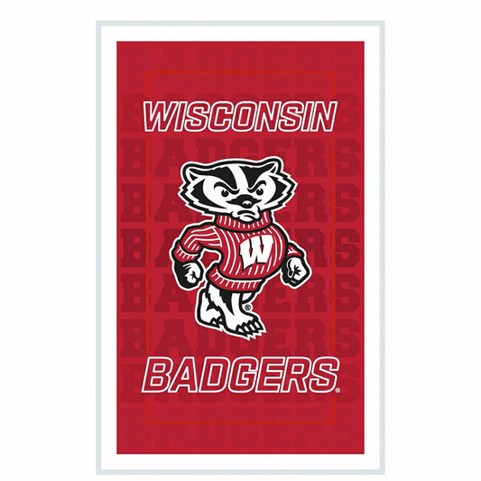 Team Sports America Everyday - University of Wisconsin-Madison College Rectangle Neolite LED Decor